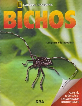 REVISTA BICHOS NATIONAL GEOGRAPHIC APRENDE TODO SOBRE ESCARABAJOS LONGICORNES