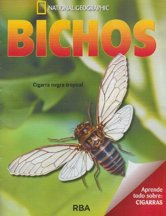 REVISTA BICHOS NATIONAL GEOGRAPHIC APRENDE TODO SOBRE CIGARRAS