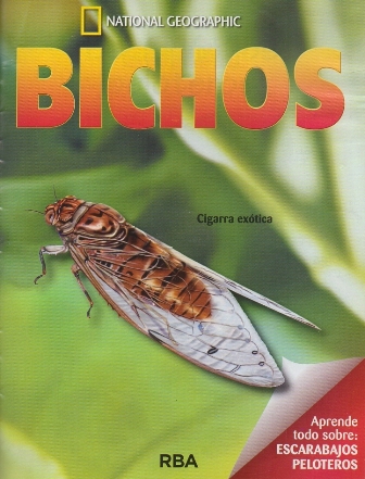 REVISTA BICHOS NATIONAL GEOGRAPHIC APRENDE TODO SOBRE ESCARABAJOS PELOTEROS