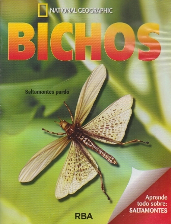REVISTA BICHOS NATIONAL GEOGRAPHIC APRENDE TODO SOBRE SALTAMONTES