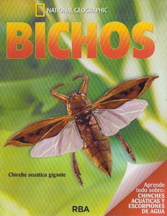 REVISTA BICHOS NATIONAL GEOGRAPHIC APRENDE TODO SOBRE CHINCHES Y ESCORPIONES DE AGUA