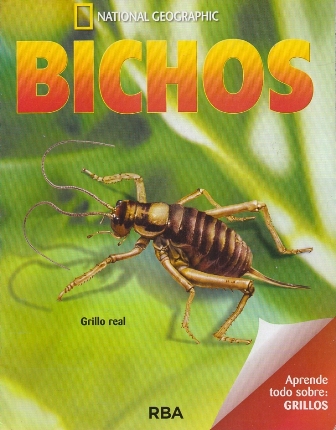 REVISTA BICHOS NATIONAL GEOGRAPHIC APRENDE TODO SOBRE GRILLOS