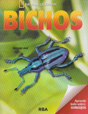 REVISTA BICHOS NATIONAL GEOGRAPHIC APRENDE TODO SOBRE GORGOJOS