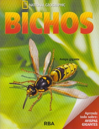 REVISTA BICHOS NATIONAL GEOGRAPHIC APRENDE TODO SOBRE AVISPAS GIGANTES