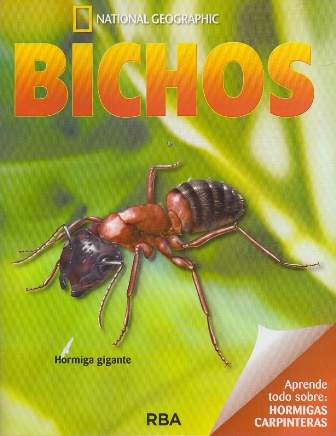 REVISTA BICHOS NATIONAL GEOGRAPHIC APRENDE TODO SOBRE HORMIGAS CARPINTERAS