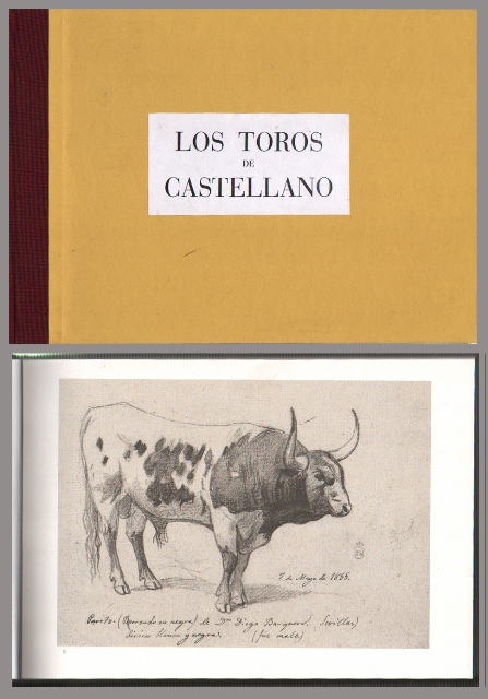 LOS TOROS DE CASTELLANO (DIBUJOS)