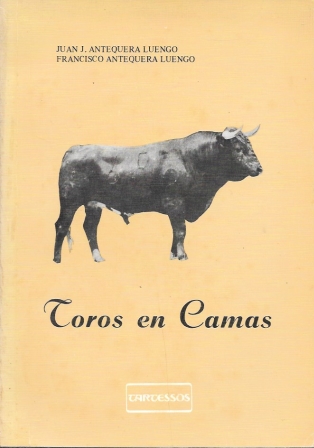 TOROS EN CAMAS