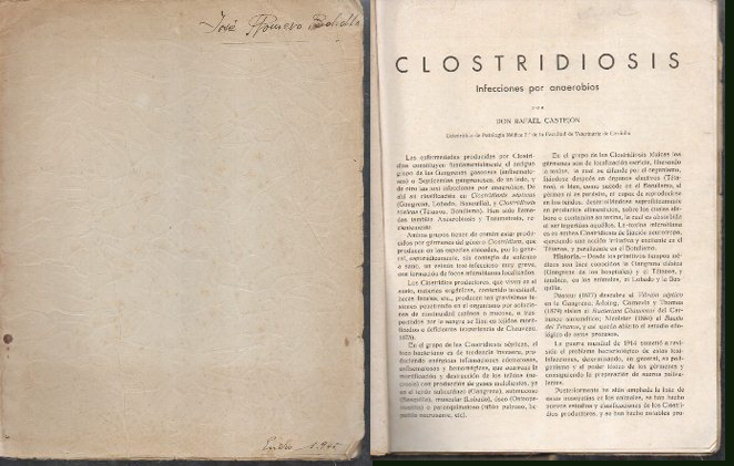 CLOSTRIDIOSIS. INFECCIONES POR ANAEROBIOS