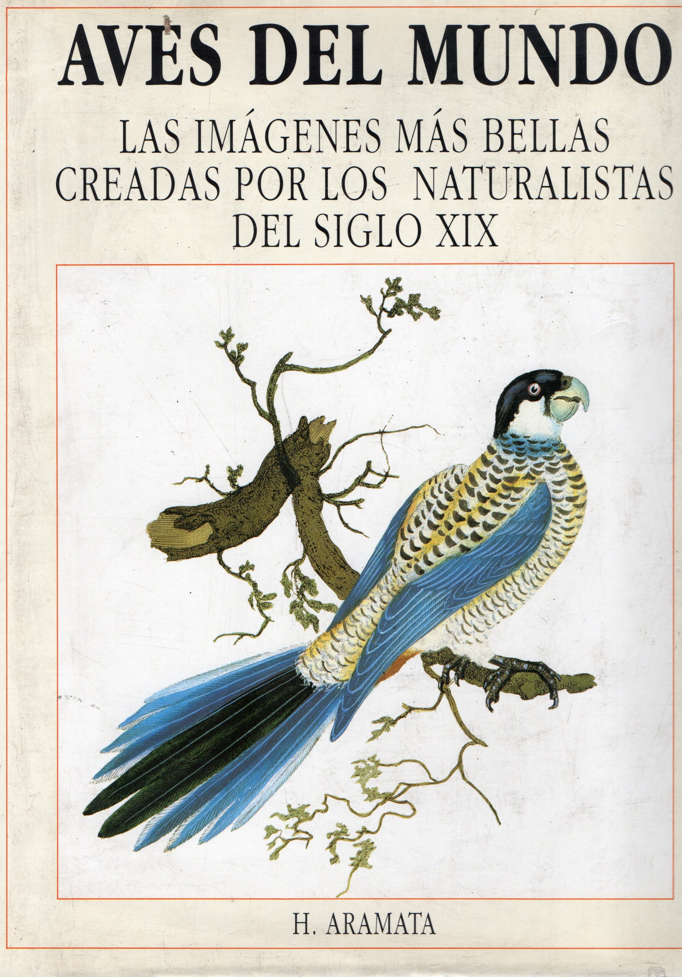 AVES DEL MUNDO. LAS IMÁGENES MAS BELLAS CREADAS POR LOS NATURALISTAS DEL SIGLO XIX