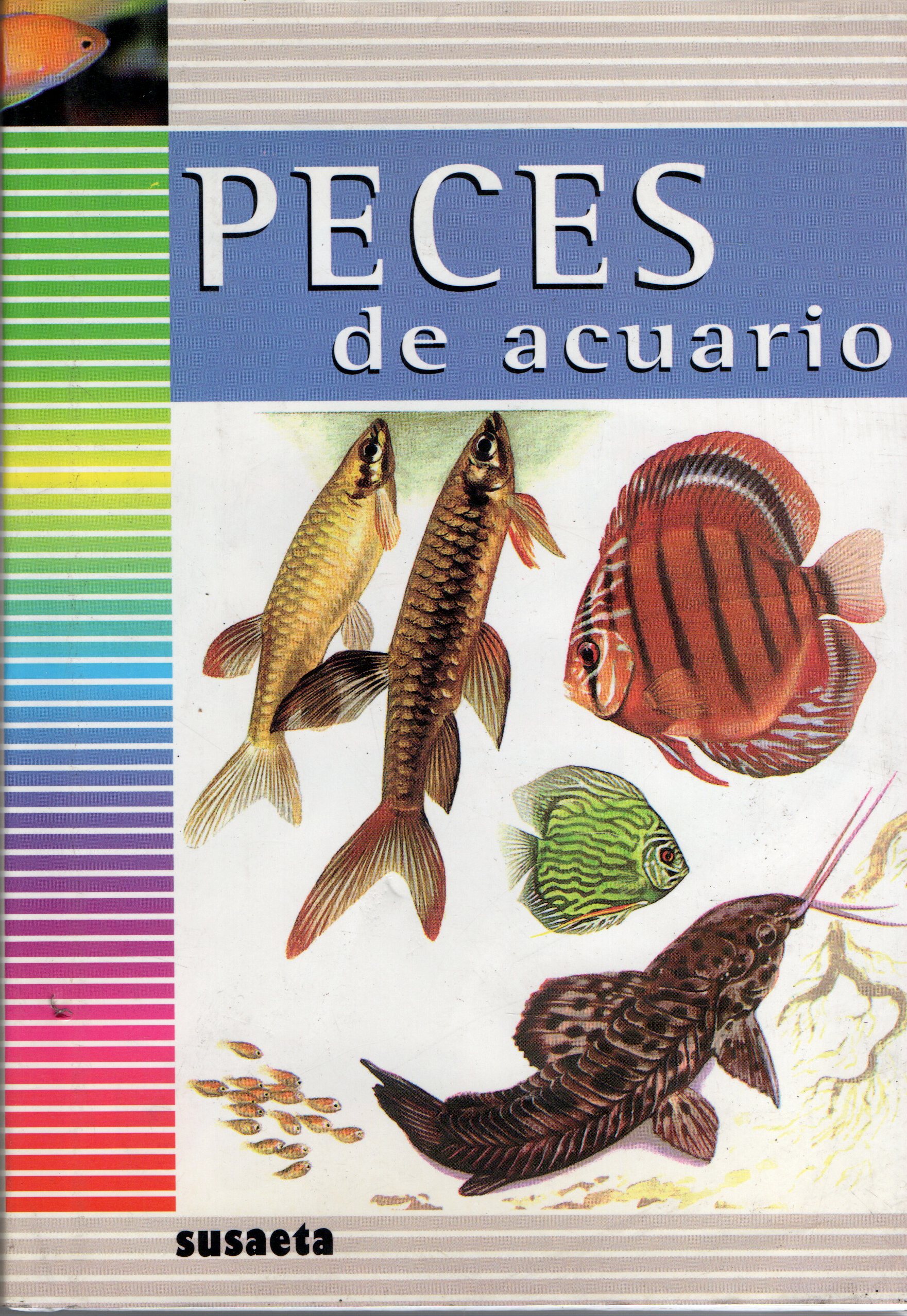 PECES DE ACUARIO