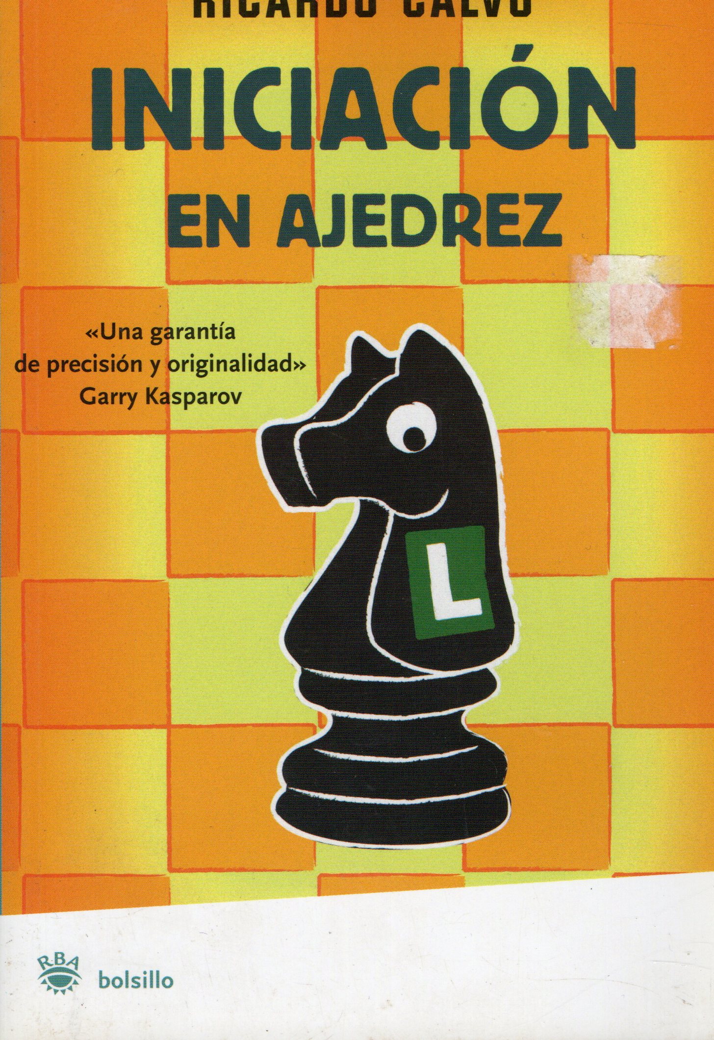 INICIACION EN AJEDREZ