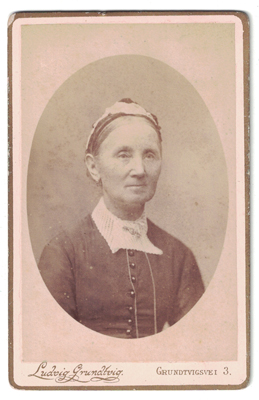FOTOGRAFIA DE SEÑORA, FOTO LUDWING GRUNDTVIG. (GRUNDTVIGSVEI) SOBRE 1880.
