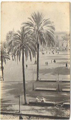 FOTO POSTAL SEVILLA PLAZA NUEVA SOBRE 1910