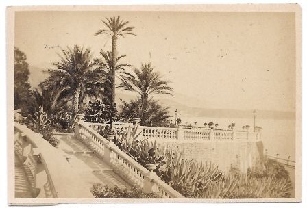 FOTOGRAFIA JARDINES DEL CASINO MONACO