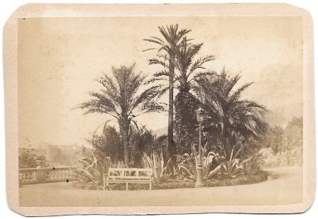 FOTOGRAFIA DE LOS JARDINES DEL CASINO MONACO