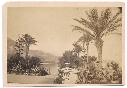 FOTOGRAFIA DE LOS JARDINES DEL CASINO MONACO