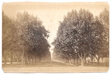 FOTO PARQUE EN MARSELLA, FRANCIA