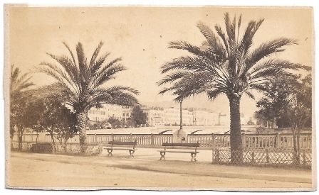 FOTO QUAI ST. JEAN BAPTISTE ET LES PALMEIRS - NIZA (FRANCIA)