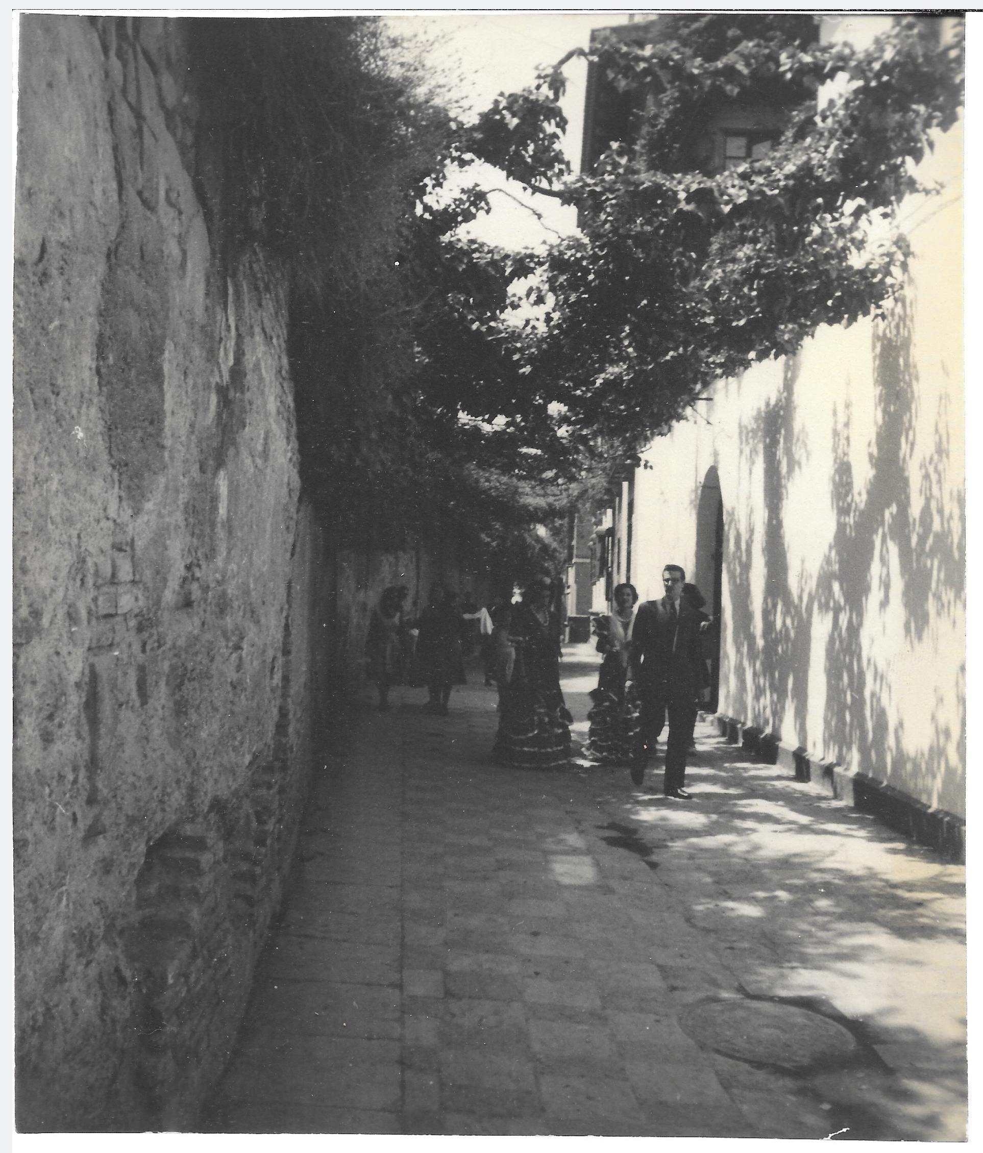 FOTOGRAFIA DE SEVILLA CALLE DEL AGUA BARRIO SANTA CRUZ