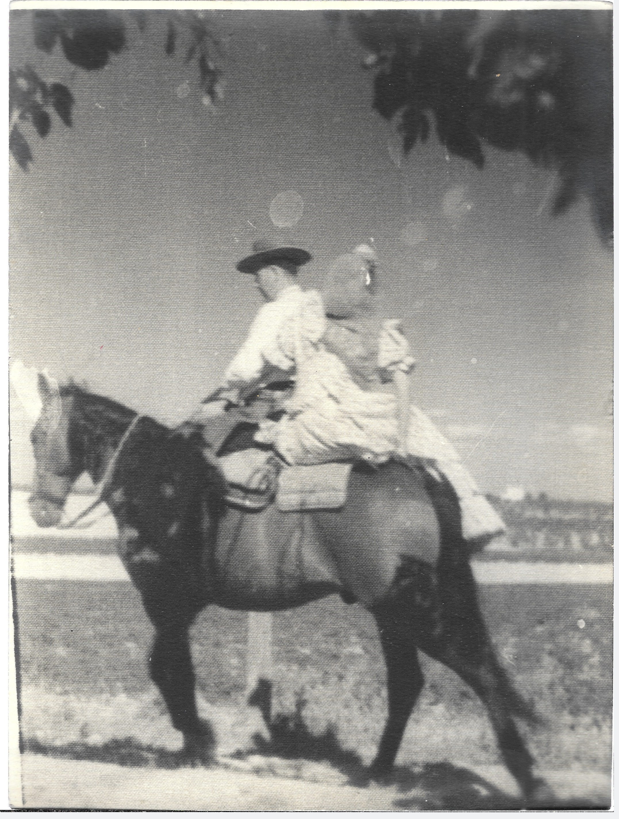 FOTOGRAFIA DE UN MOMENTO DEL ROCIO, SOBRE 1950