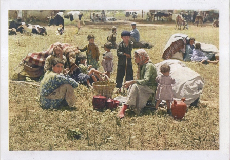LAMINA FOTO REPRODUCCION ARCHIVO ABC SEVILLA FERIA DEL GANADO 1949