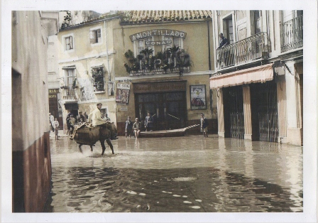 LAMINA FOTO REPRODUCCION ARCHIVO ABC SEVILLA RIADA DE FEBRERO DE 1936