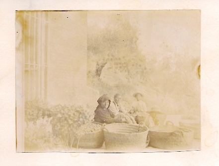 FOTOGRAFIA VISTA DEL CAMPO DE GIBRALTAR SIN IDENTIFICAR SOBRE 1900