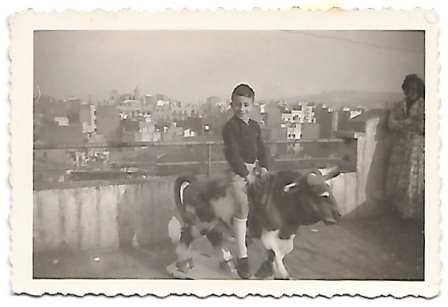 FOTOGRAFIA DE NIÑO MONTADO EN VACA DE CARTON. AÑO 1949