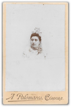 FOTO RETRATO SEÑORA. FOTO A. PALOMARES SOBRE 1880 (CORDOBA). IMPRESO EN REVERSO