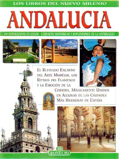 ANDALUCIA LOS LIBROS DEL NUEVO MILENIO