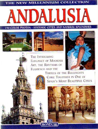 ANDALUCIA LOS LIBROS DEL NUEVO MILENIO