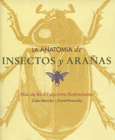 LA ANATOMIA DE INSECTOS Y ARAÑAS