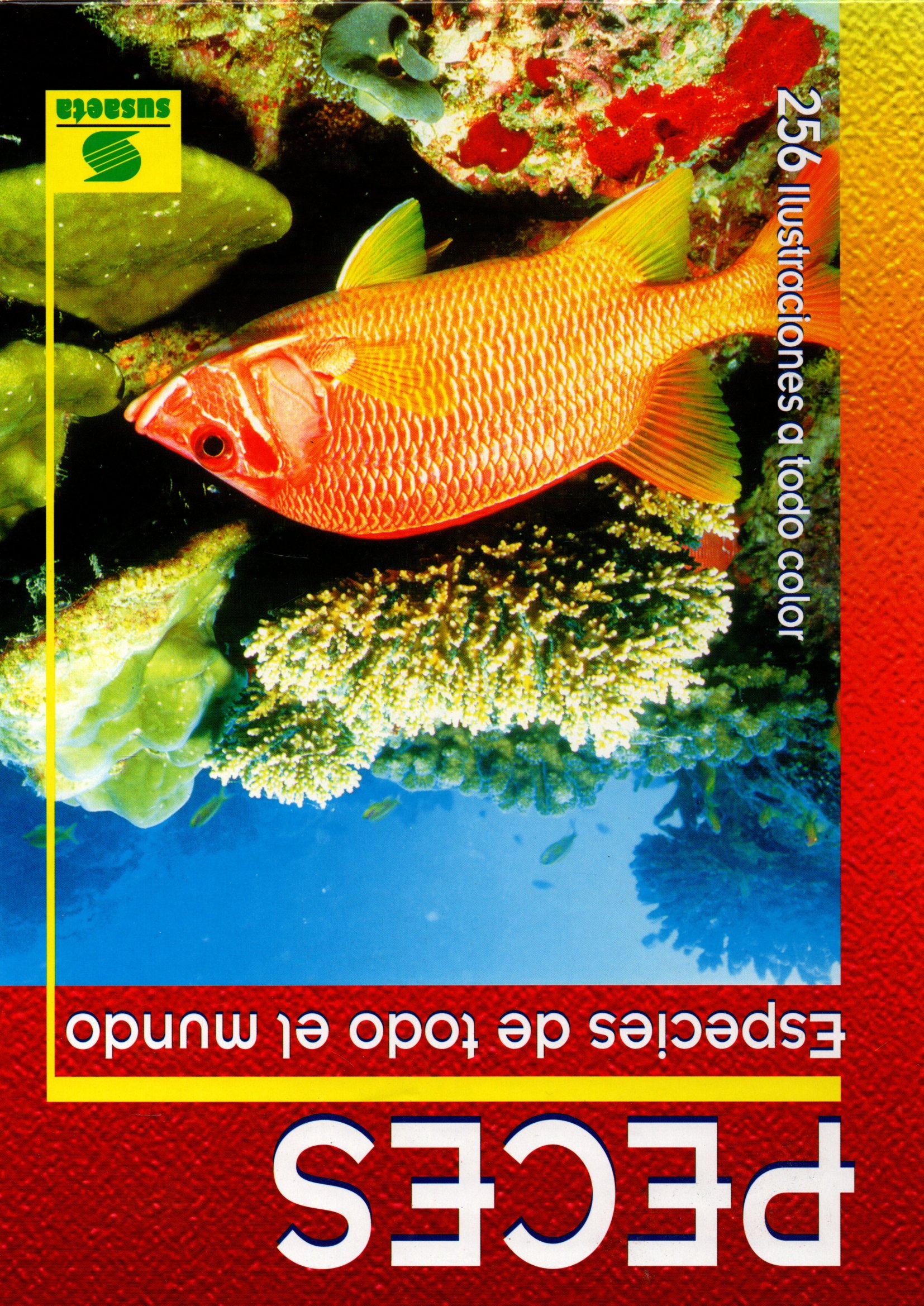 PECES, ESPECIES DE TODO EL MUNDO