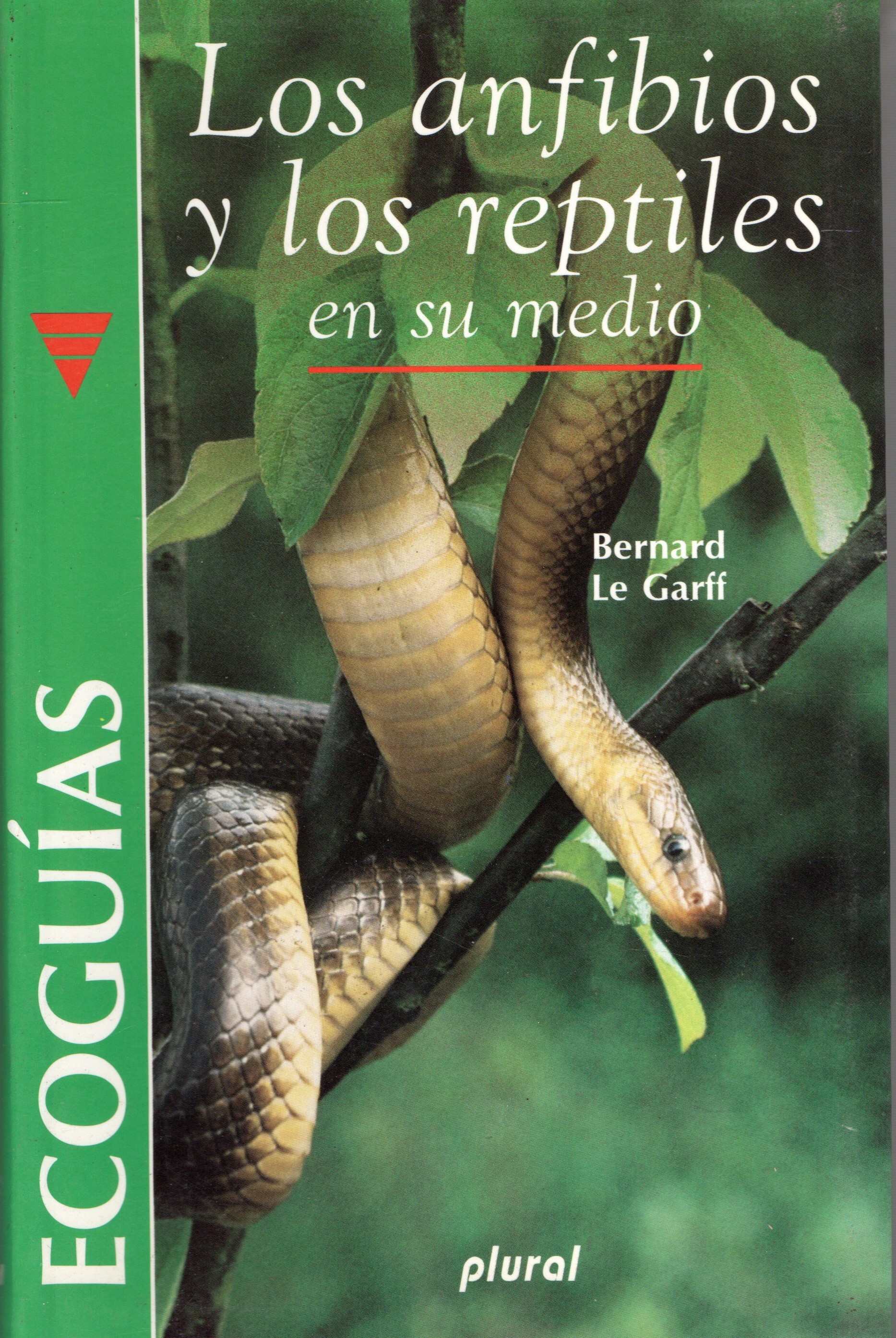 LOS ANFIBIOS Y LOS REPTILES EN SU MEDIO