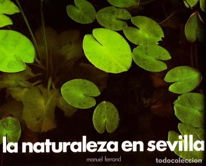 LA NATURALEZA EN SEVILLA.