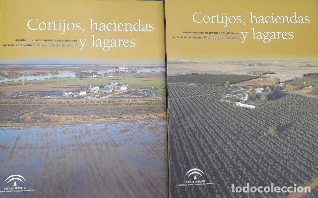 CORTIJOS, HACIENDAS Y LAGARES. ARQUITECTURA DE LAS GRANDES EXPLOTACIONES AGRARIAS EN ANDALUCIA. PROVINCIA DE SEVILLA