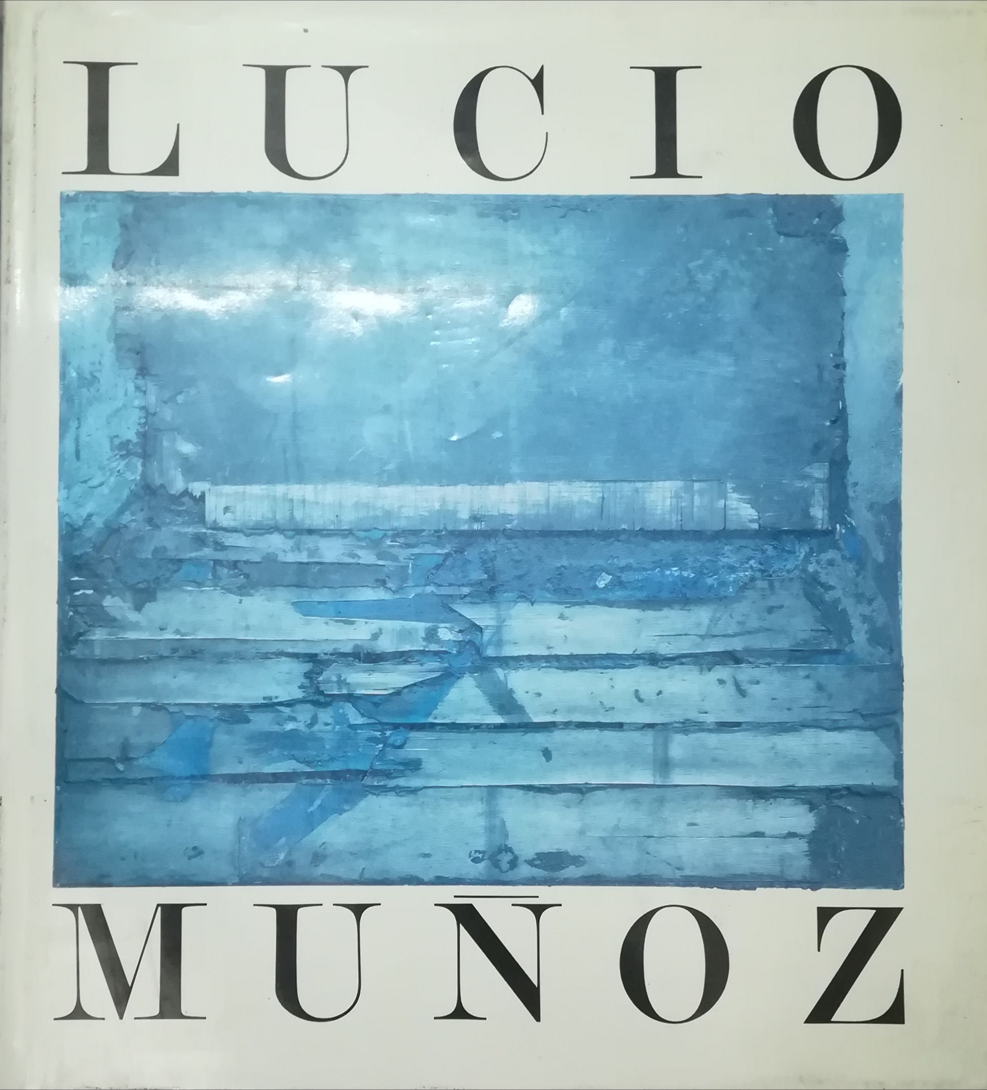 LUCIO MUÑOZ