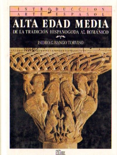 ALTA EDAD MEDIA DE LA TRADICION HISPANOGODA AL ROMANICO