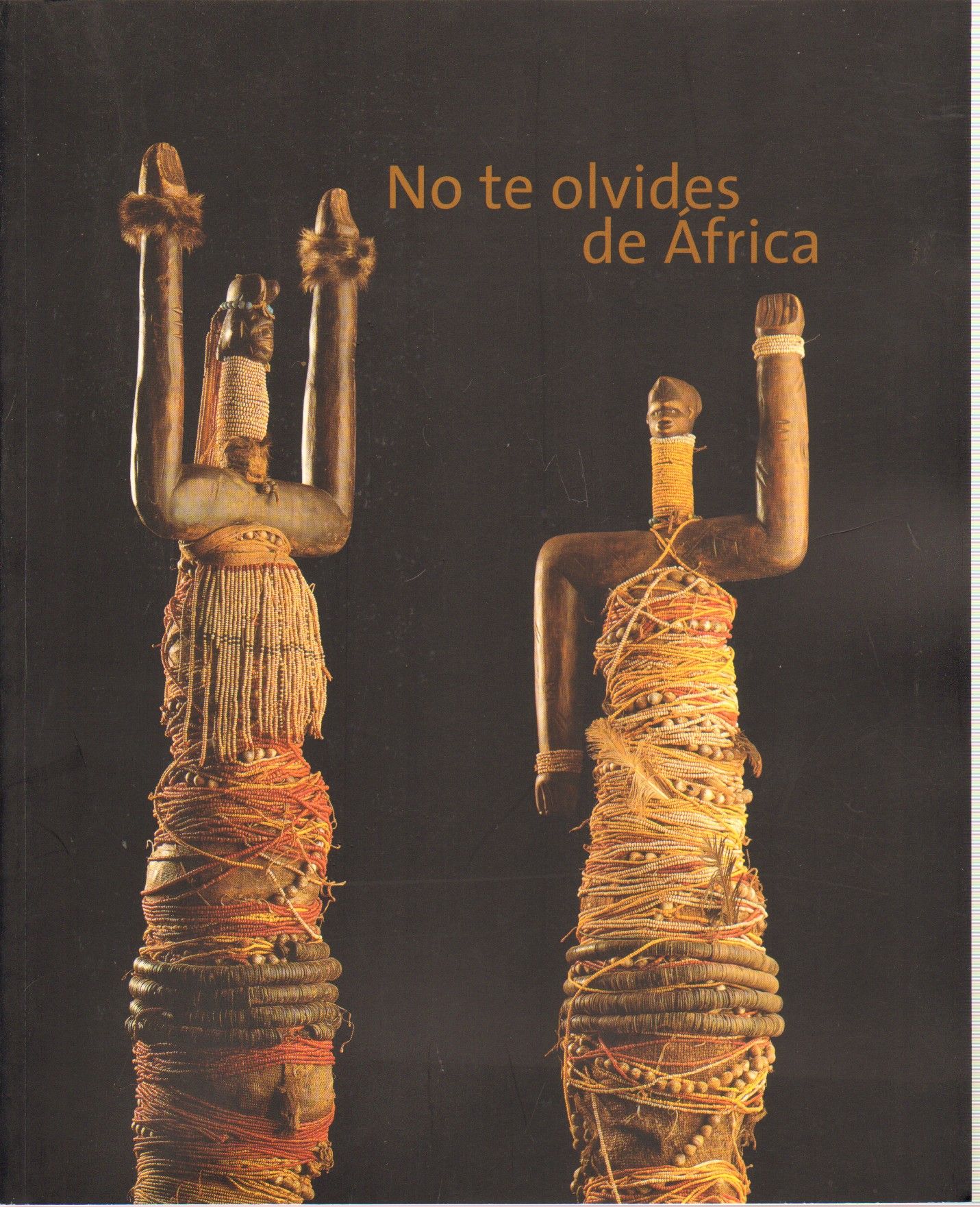 NO TE OLVIDES DE AFRICA