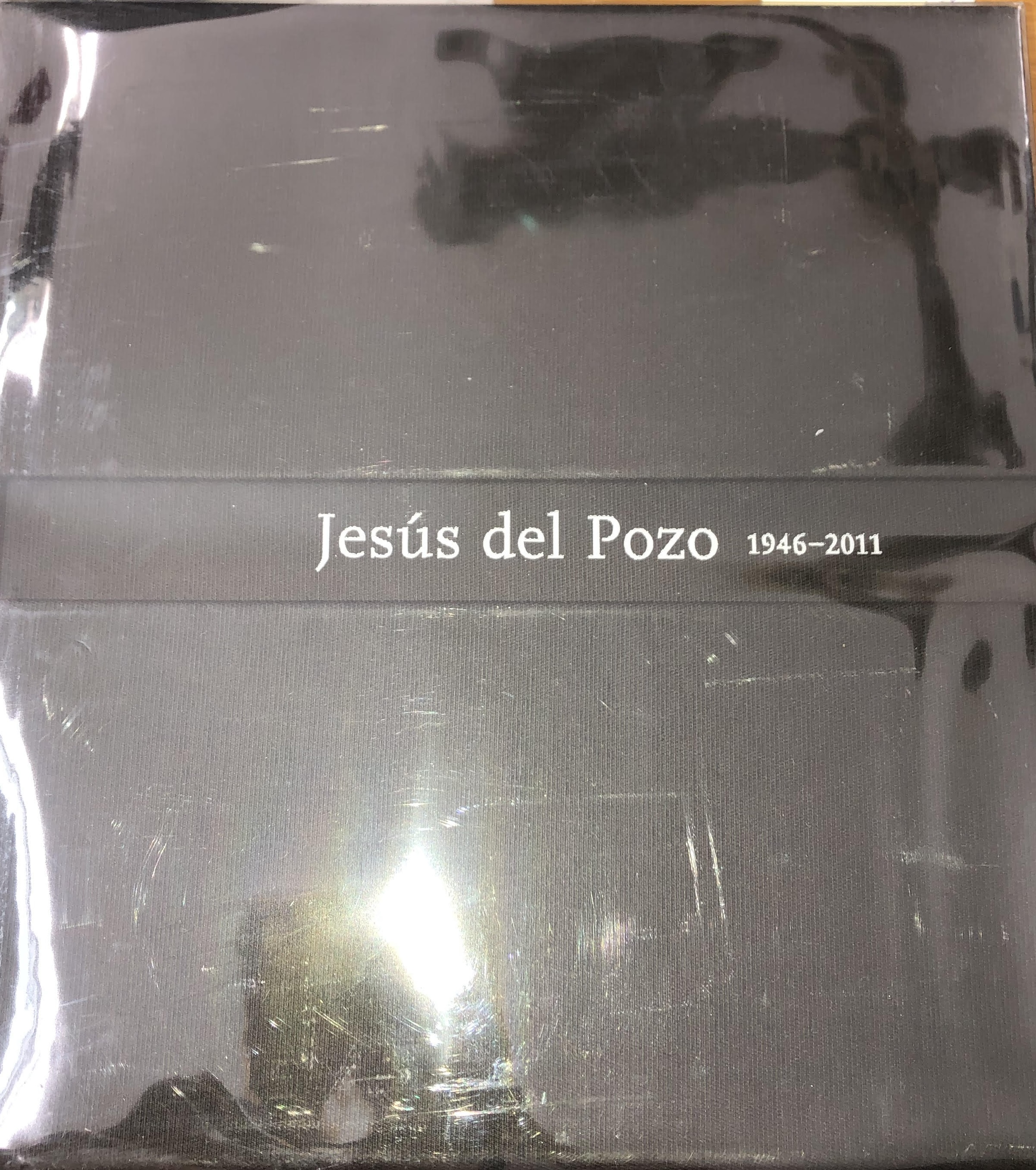JESUS DEL POZO 1946-2011