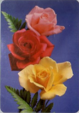 CALENDARIO FLORES DE COLORES AÑO 1985