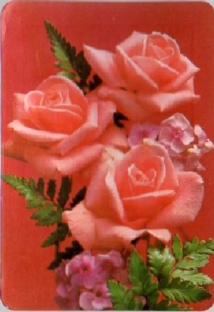 CALENDARIO FLORES DE COLORES AÑO 1986