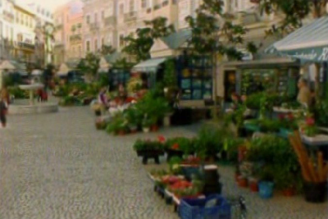 CALENDARIO PLAZA DE LAS FLORES CÁDIZ. AÑO 2005