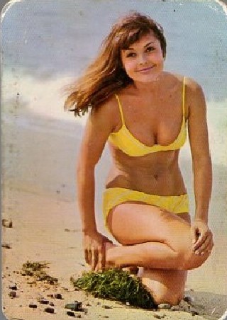 CALENDARIO CHICA. AÑO 1973