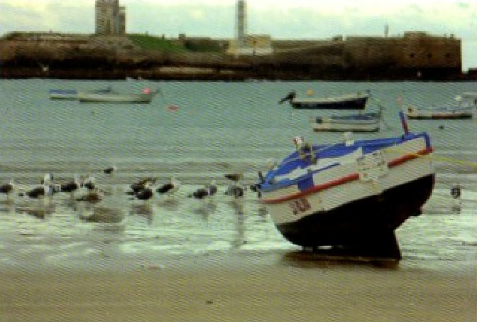 CALENDARIO LA CALETA DE CÁDIZ AÑO 2009