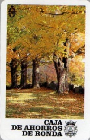 CALENDARIO CAJA POSTAL DE AHORROS FOURNIER 1991
