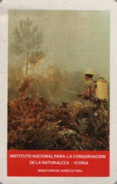 CALENDARIO FOURNIER ICONA AÑO 1978