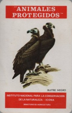CALENDARIO FOURNIER ICONA BUITRE NEGRO AÑO 1975