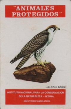 CALENDARIO FOURNIER ICONA HALCON BORNI AÑO 1975