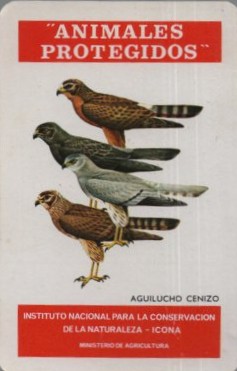 CALENDARIO FOURNIER ICONA AGUILUCHO CENIZ AÑO 1975
